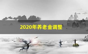 “2020年养老金调整方案（详解新政策）”/