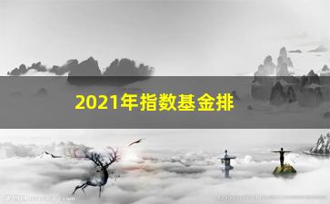 “2021年指数基金排行榜出炉，哪些基金最值得投资？”/