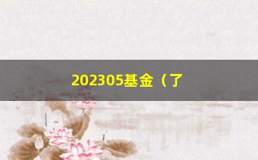 “202305基金（了解202305基金的投资步骤和风险介绍）”/