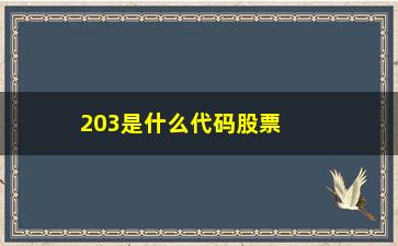 “203是什么代码股票(300代码开头的股票是什么股)”/