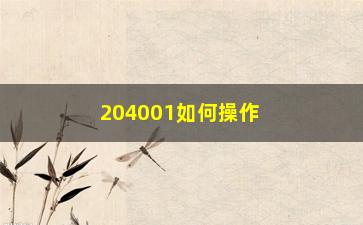 “204001如何操作（详细介绍204001的使用方法）”/