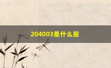 “204003是什么股票(204001是什么股票)”/