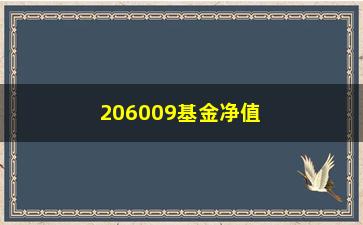 “206009基金净值（了解206009基金的最新净值情况）”/