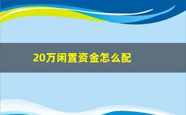 “20万闲置资金怎么配置基金(资金和基金的区别)”/