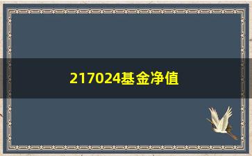 “217024基金净值（最新基金净值查询）”/