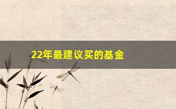 “22年最建议买的基金(四种必涨的基金)”/