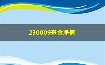 “230009基金净值(240003基金净值)”/