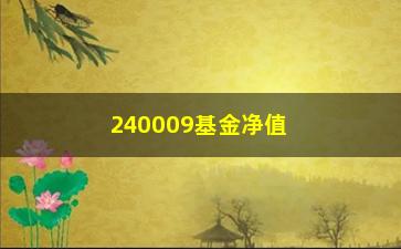 “240009基金净值(240009基金净值查询)”/