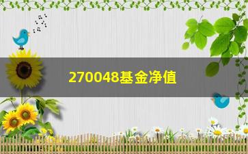 “270048基金净值(基金270042)”/