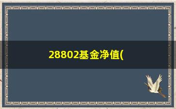 “28802基金净值(泰信优质生活基金净值290004)”/