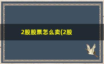 “2股股票怎么卖(2股股票怎么卖不出去)”/