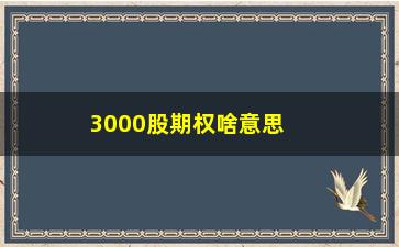 “3000股期权啥意思(3000股期权多少钱)”/