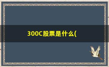 “300C股票是什么(美国300C是什么车)”/