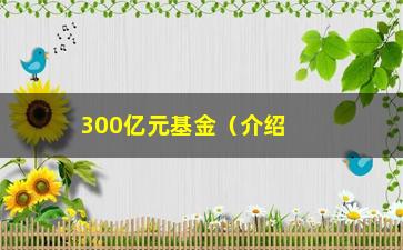 “300亿元基金（介绍这笔庞大的投资基金）”/