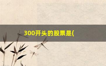 “300开头的股票是(300开头的是什么股)”/