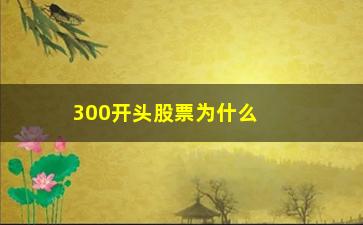 “300开头股票为什么不能买(300开头的股票开通需要什么条件)”/