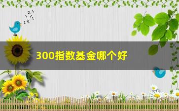 “300指数基金哪个好（比较几种主流300指数基金的优缺点）”/