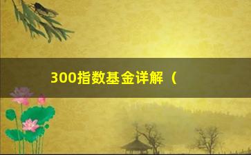 “300指数基金详解（投资者必看的投资方法）”/