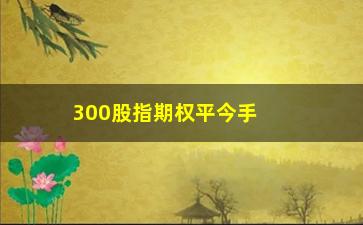 “300股指期权平今手续费(300股指期权一手多少钱)”/