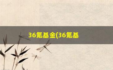 “36氪基金(36氪基金规模)”/