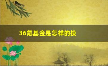 “36氪基金是怎样的投资方式？”/