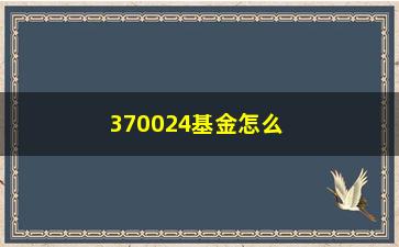 “370024基金怎么样？风险介绍和收益分析”/