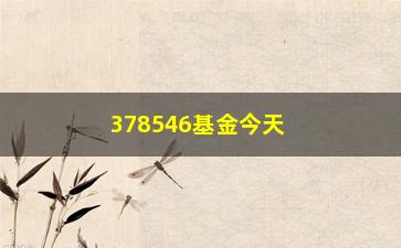 “378546基金今天净值是多少？（投资者必须知道的基金净值分析）”/