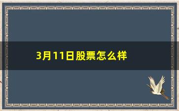 “3月11日股票怎么样(中国神华股票怎么样)”/