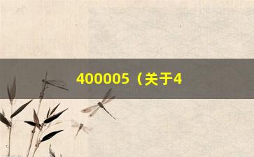 “400005（关于400005的信息查询）”/