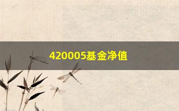 “420005基金净值(420002基金净值查询)”/