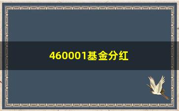 “460001基金分红，你知道的不止这些（基金分红全介绍）”/