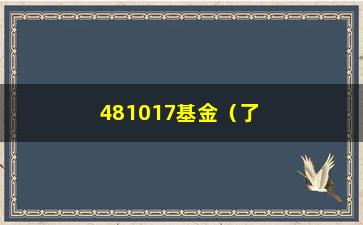 “481017基金（了解基金产品的投资收益和风险）”/