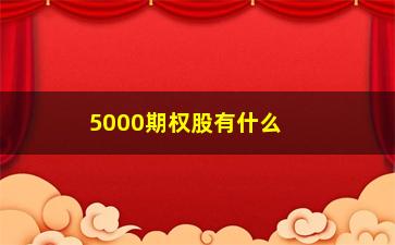 “5000期权股有什么用，解析期权股的投资价值”/