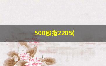 “500股指2205(中证500最新指数)”/