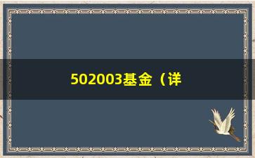 “502003基金（详解502003基金的投资步骤和风险分析）”/