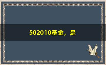 “502010基金，是理财小白的首选（详解投资方法和注意事项）”/