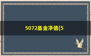 “5072基金净值(5097基金净值查询)”/