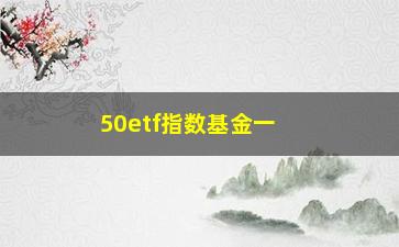 “50etf指数基金一个点(上证50指数基金哪家好)”/