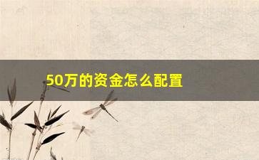 “50万的资金怎么配置基金(如何优化资金使用配置)”/