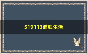 “519113浦银生活基金(519113浦银生活基金怎么样)”/