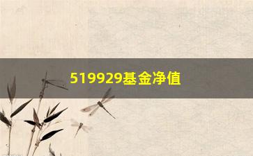 “519929基金净值（最新净值查询及分析报告）”/