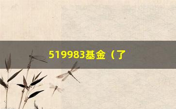 “519983基金（了解这只基金的投资步骤和收益情况）”/