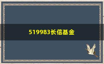 “519983长信基金有哪些优势和风险？”/