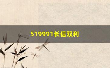 “519991长信双利基金（投资理财的首选基金产品）”/