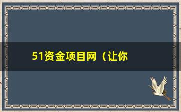 “51资金项目网（让你的资金实现更多可能）”/