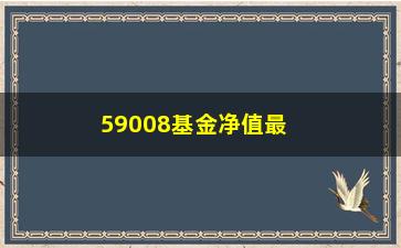 “59008基金净值最新动态（投资者必看）”/