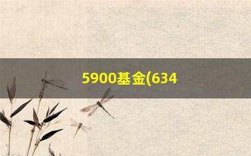 “5900基金(63402基金净值)”/