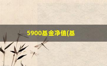 “5900基金净值(基金银华优选)”/