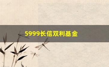 “5999长信双利基金(长信银利基金59996)”/