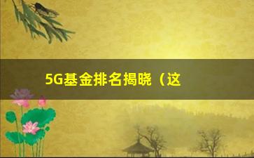 “5G基金排名揭晓（这些基金最值得投资）”/